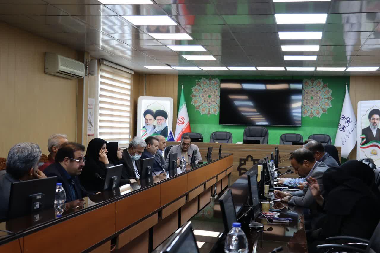 برگزاری کارگروه استانی حمایت از بیماران خاص و صعب‌العلاج در دانشگاه علوم پزشکی اراک